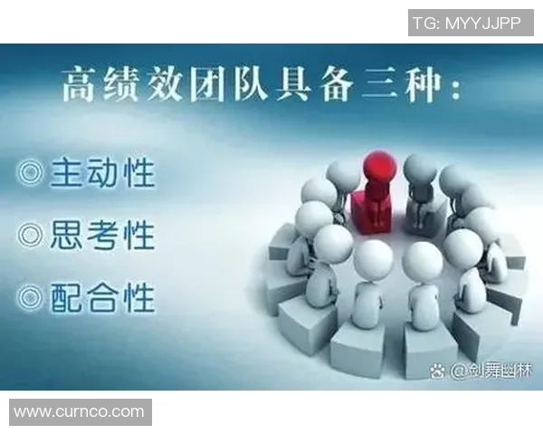 成都排球队配合变革引发热议展现团队精神与战术创新的全新篇章